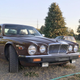 Image for article titled At $5,500, Would You Let This 1980 Jaguar XJ6 Series III Class Up the Joint?